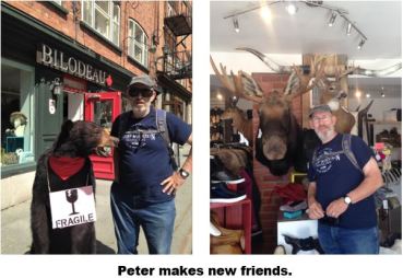 17.6.7 - NEW FRIENDS