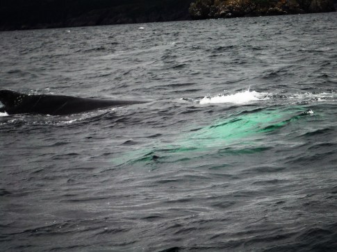 17.8.9 - UPSIDE DOWN